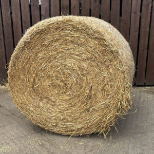 Straw - Round