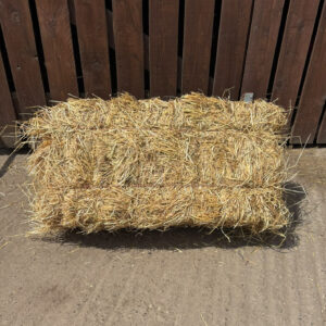 Timothy Mix Hay - Conventional Small Bale