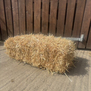 Straw - Conventional Small Bale